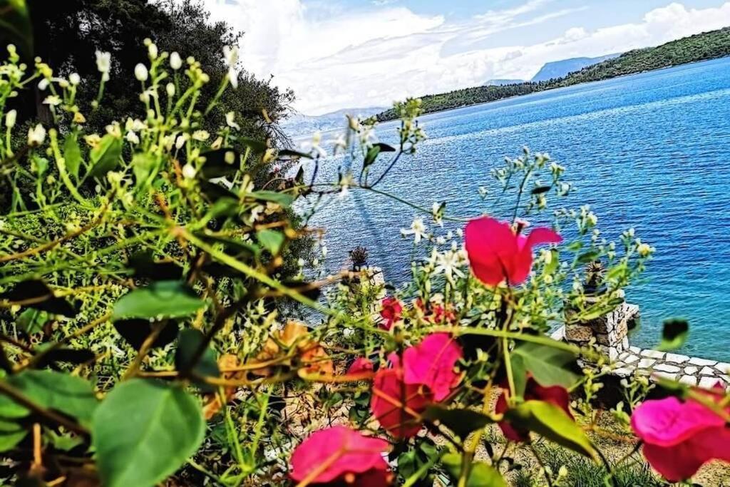 Villa Violeta Lefkada Nydri ภายนอก รูปภาพ